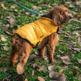 Dear Pet Quilted Jacket for Dogs (Yellow)